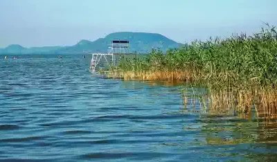 Vízparti területek egyeztetése